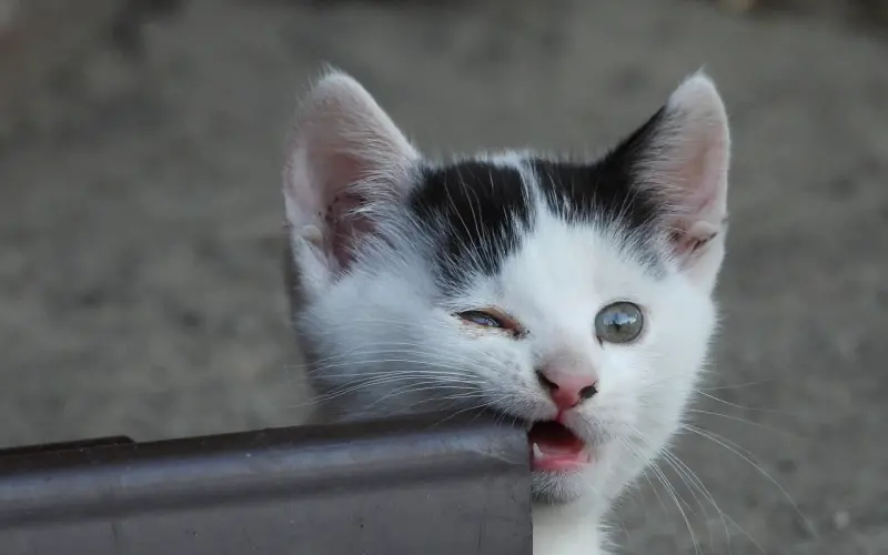 一个男人能这样称呼你，铁定是深爱着你，别不信！