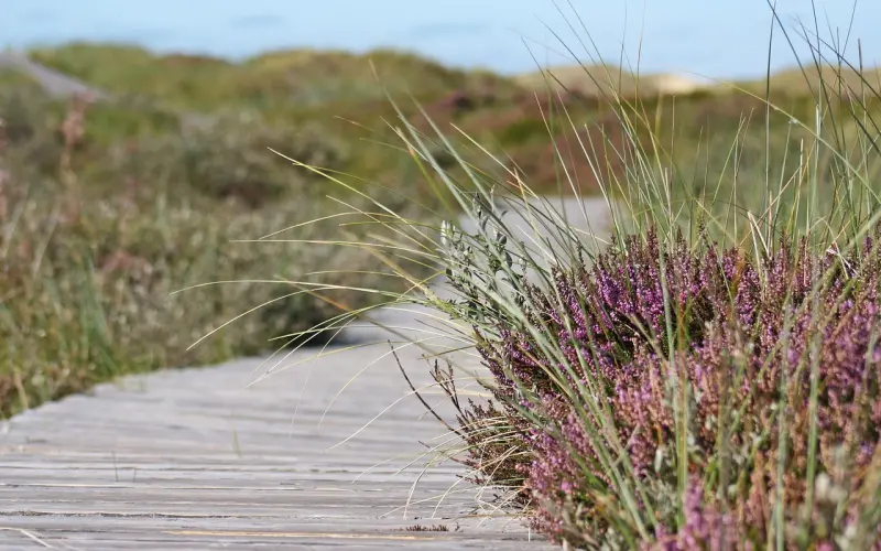 男人出轨，女人千万别走这条路！
