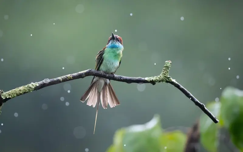 男人爱上你了，即使嘴上不说，但这些身体语言会告诉你
