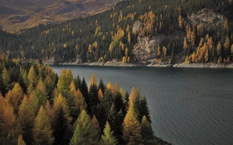 男人懂这三种房中术，会让女人对你死心塌地，别无二心