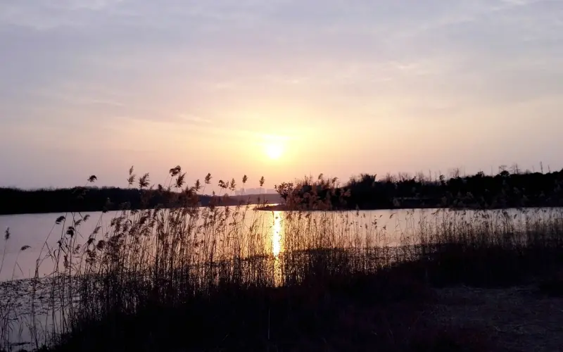 男人要是在这三个“时候”，满足女人的需求，女人会爱你入骨