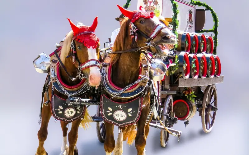 女人敢送你这六样东西，说明真正的爱上你