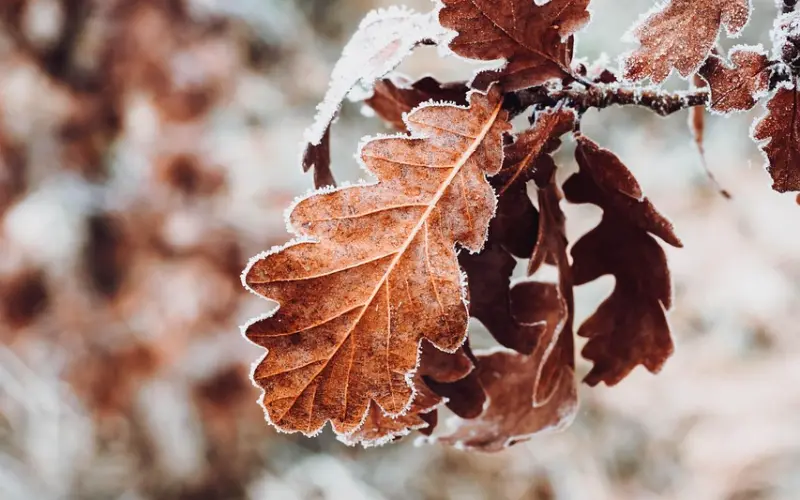 女人送给你这4样东西，肯定是喜欢你，男人一定要懂