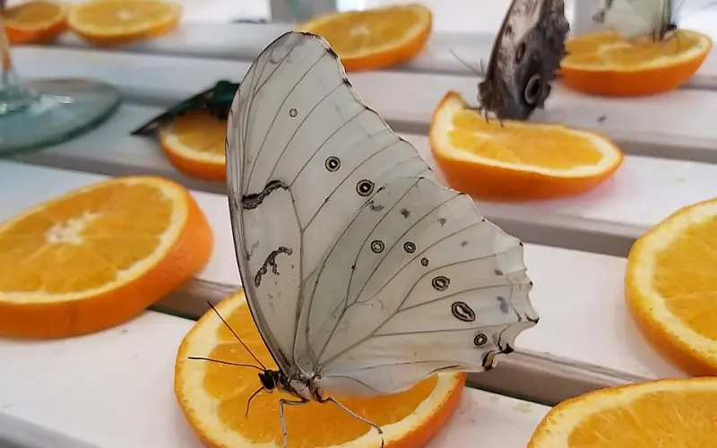 女人对你动了真情，会出现这些征兆