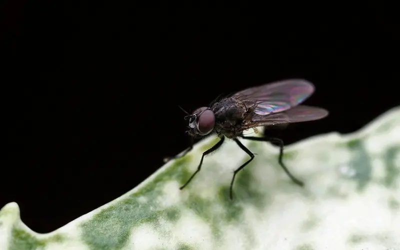 女人愿意让你接触这几个隐私位置，心理学：说明她已爱你如命