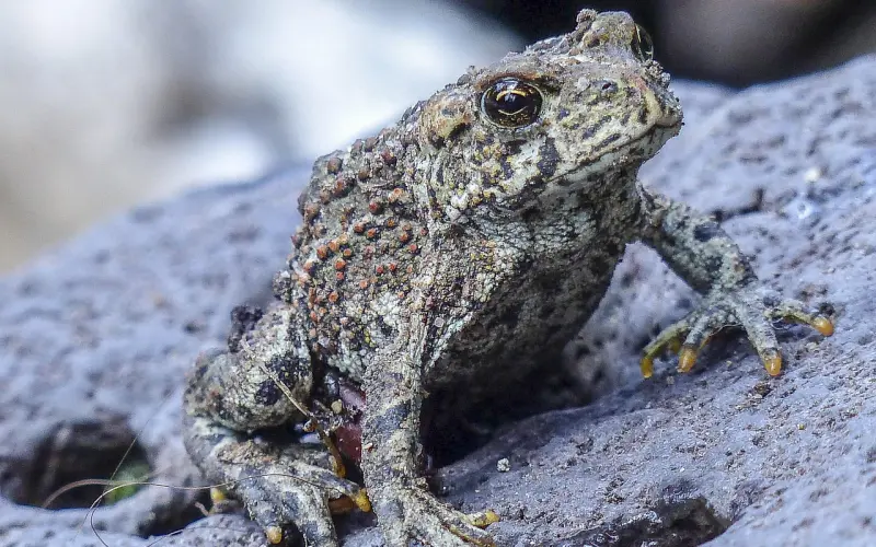 女人让你触碰了这几个“隐私”，多半早已爱你如命，你中了几个？