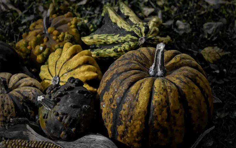 女人想要了，这几种“暗示性”很明显，一定要懂的！