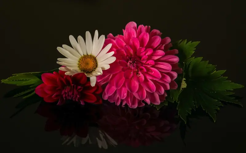 女人想要挽回男人，让他重新认识你，一定要懂得“三要”和“三不要”