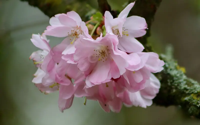 女人想要你，会用这三个小动作暗示你，别不懂！