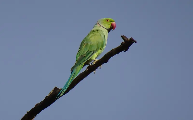 如果我付费后，老师认为我们的情况，应该断开一段时间那我是不是浪费钱？
