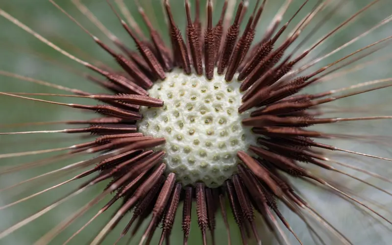 夫妻之间做这4件事，早晚“各奔东西”，你做过吗？