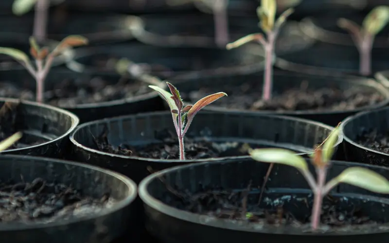 遇见更喜欢的女生，我肯定会出轨