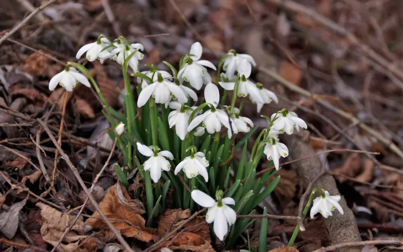 如果爱情变得勉强妥协，那不如趁早结束这段关系