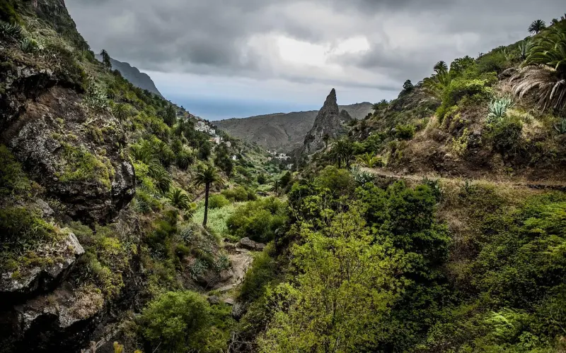 男朋友曾经的喜欢对象结婚，能让他去吗？