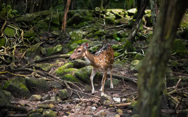 如果可以，就让我们，晚点在一起，然后一辈子