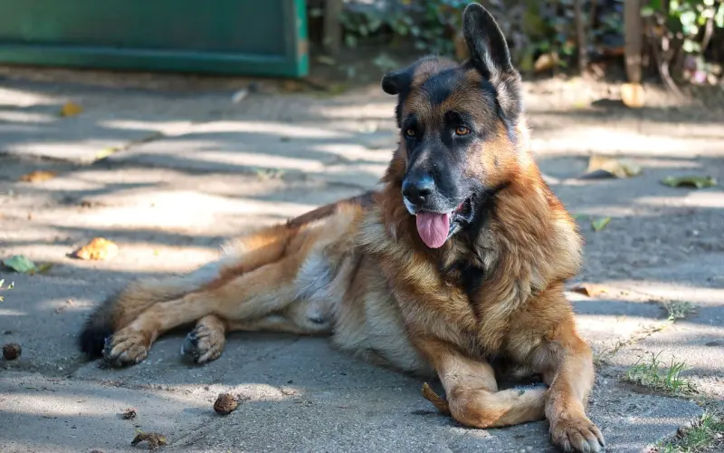 如果你们之间出现以下几个问题，那么离分手不远了