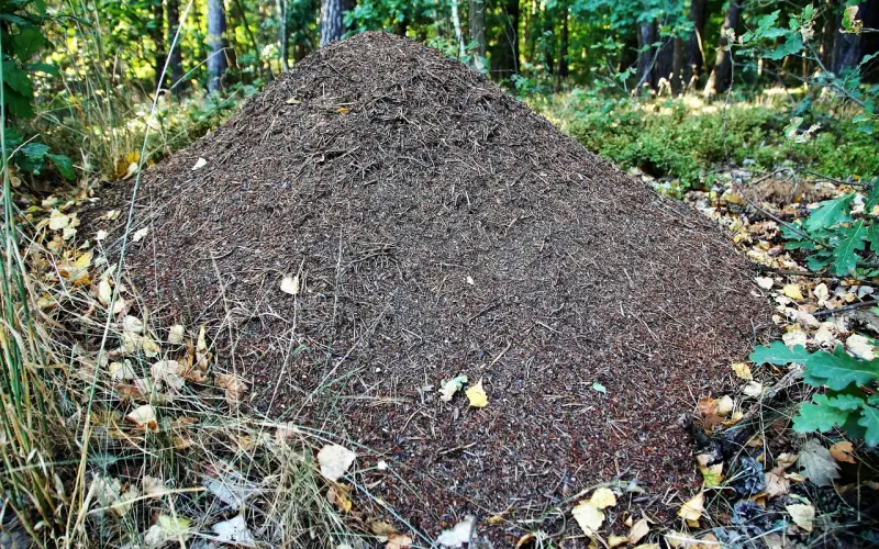 假如异性勾引你，你能守得住吗？