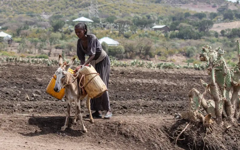 没有条件还有困难的要创造条件克服困难去追，不然还是男人吗？