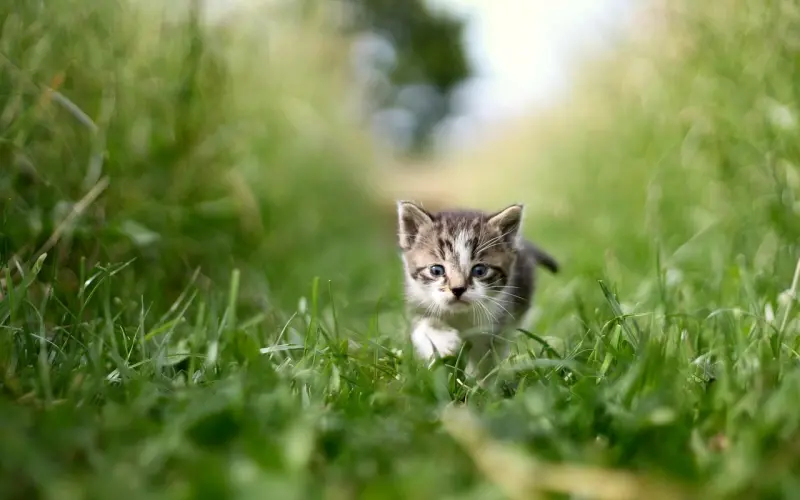 感情出现问题，用了这些方法就是在逼他离开你