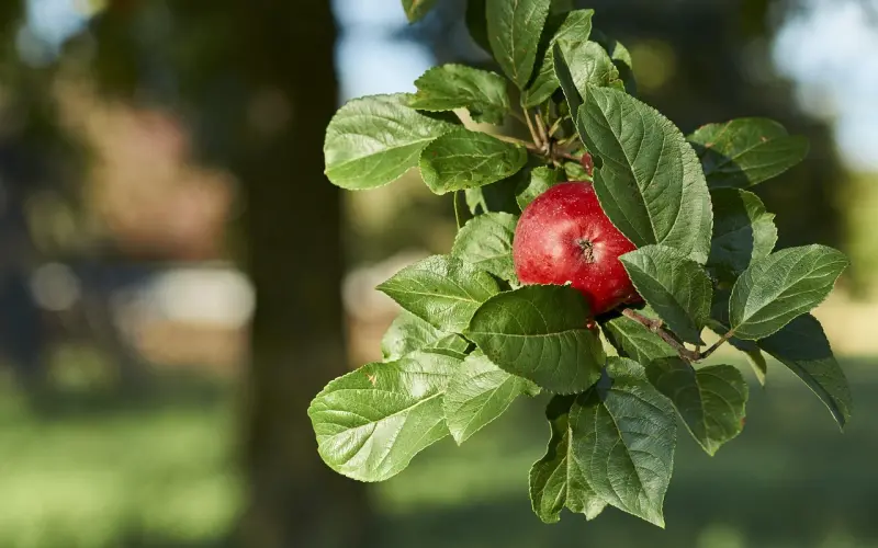 两个人在一起，如果是这种状态，那就分开吧