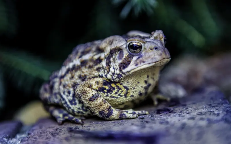 若相爱的两个人都有了家庭，放手，是唯一的出路
