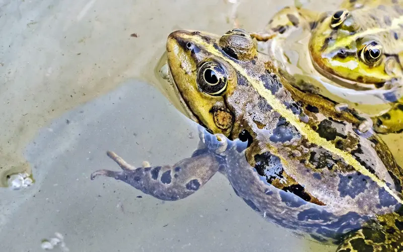 如果明天我们就离开这个世界了，你最害怕的是什么？