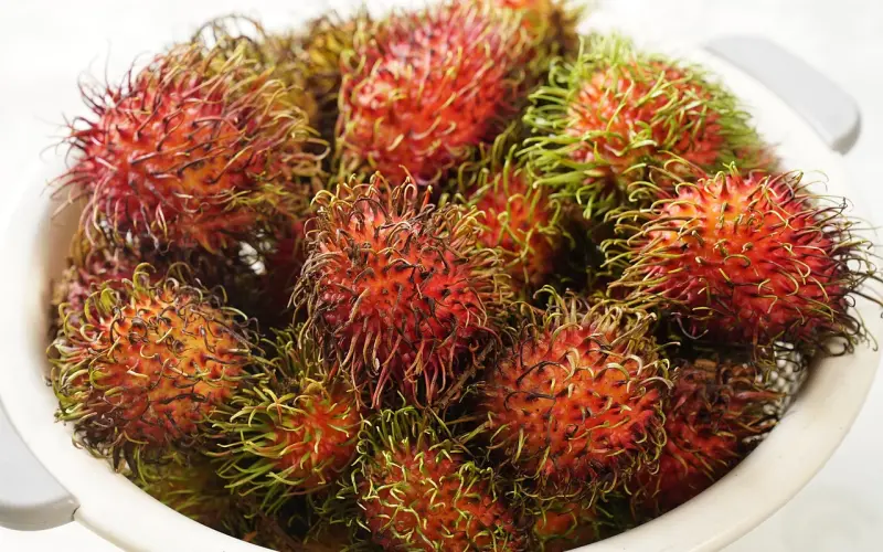 如果，可以（扎心句子）！