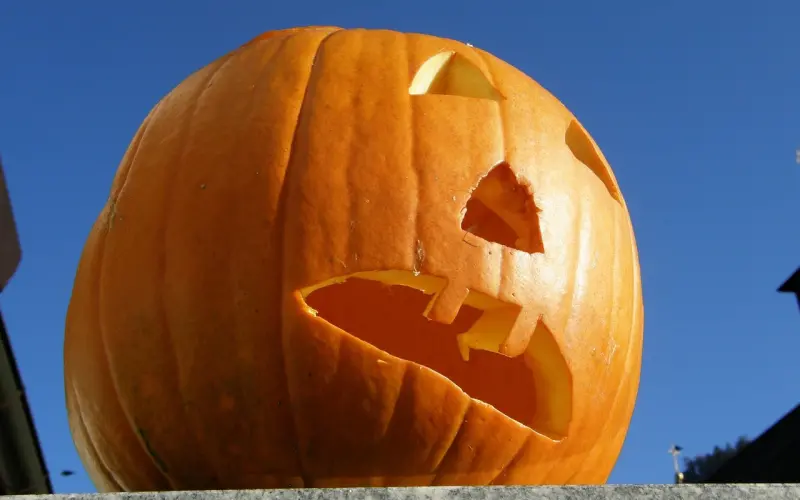 一不留神，你就有可能被“绿”