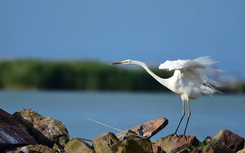 痛心被分手，挽回的你首先要做到这三步！