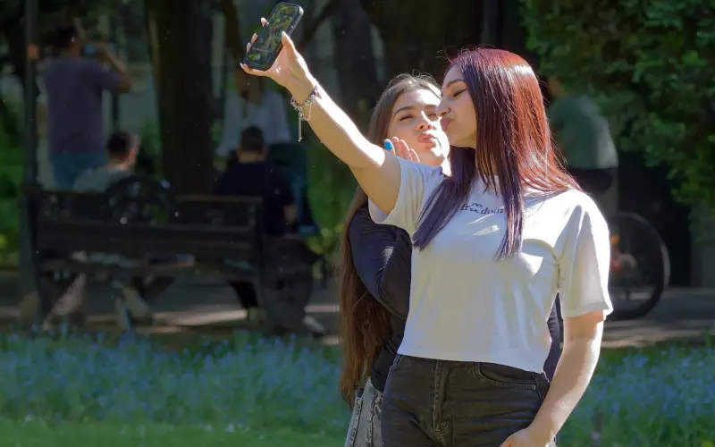 你若盛开，蝴蝶自来