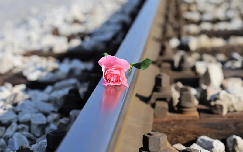 如果你可以做，那就做，不要停