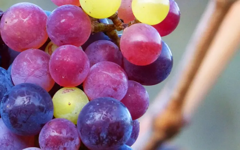 做到这三点，你就成熟了