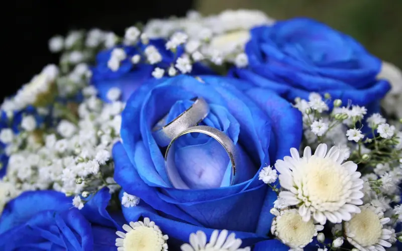 这个原则不妥协，五年以后娶空姐。