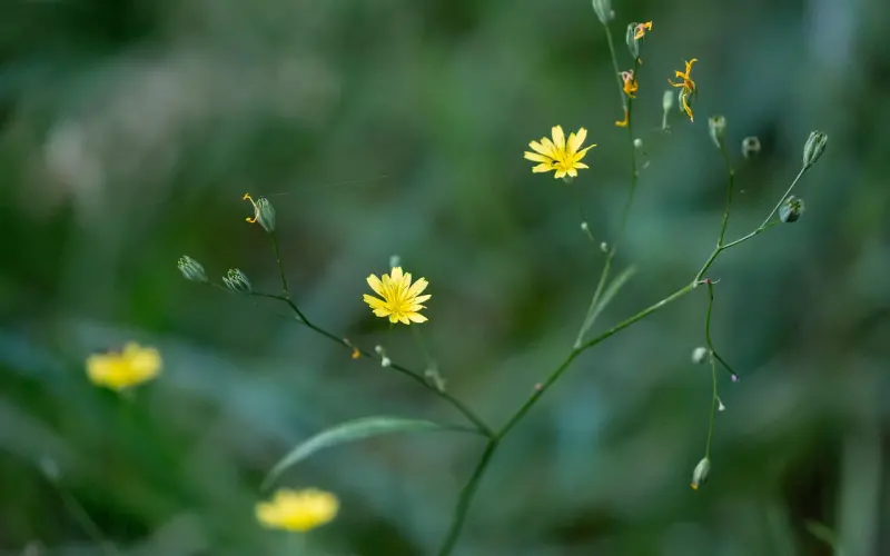不失恋，都不知道我可以这么优秀！