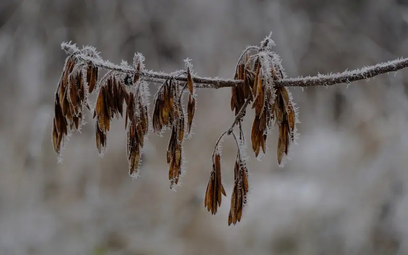 不知道该如何挽回，其实是因为你不懂技巧