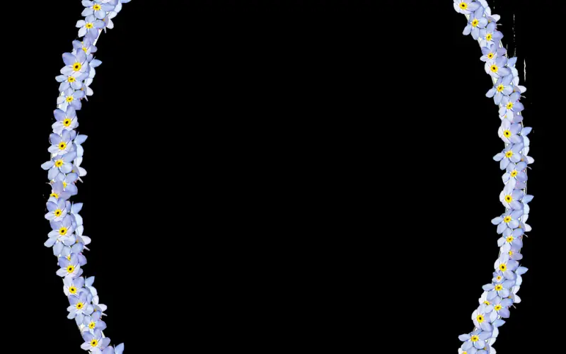 你不懂我，就别乱评价我！