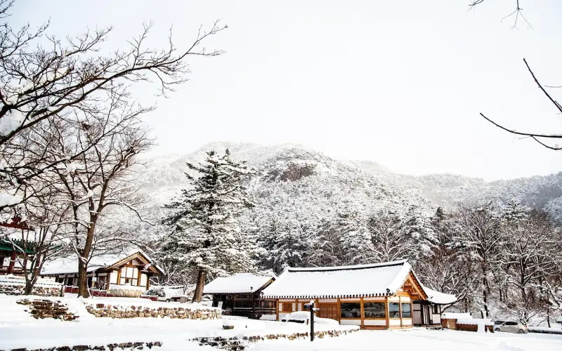 不懂情绪价值，你拿什么来挽回？