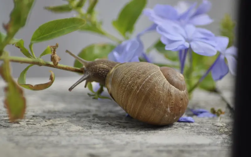 如果你一向粘人，挽回你需要懂得这个道理