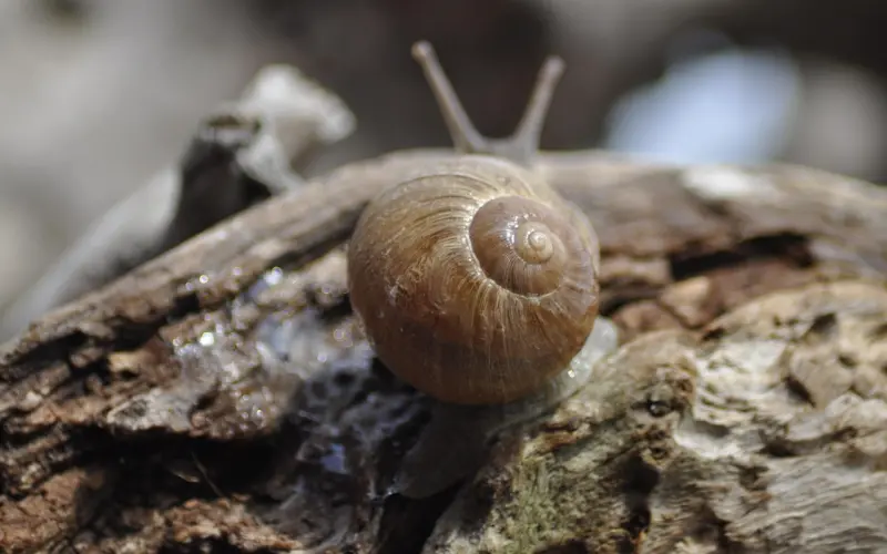 如果你一向粘人，挽回则需懂得这个道理