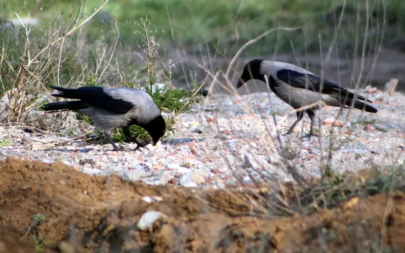 中两条以上,说明男人想你了,真的很难藏住!