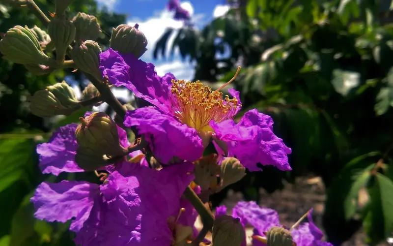 喜欢一个人，是藏不住的