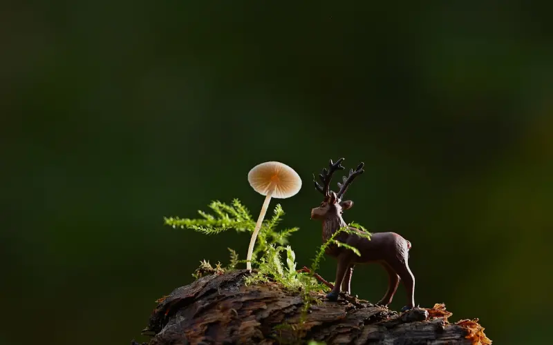 失去自我，就不可能收获真爱