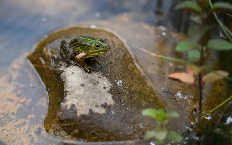 这两个最佳的挽回时机 你抓住了就成功了一半
