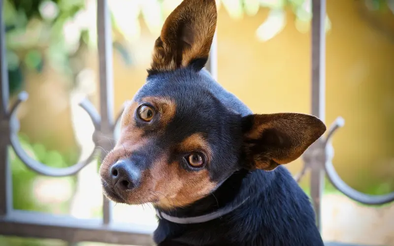 还觉得伤心就拿这篇东西出来看看