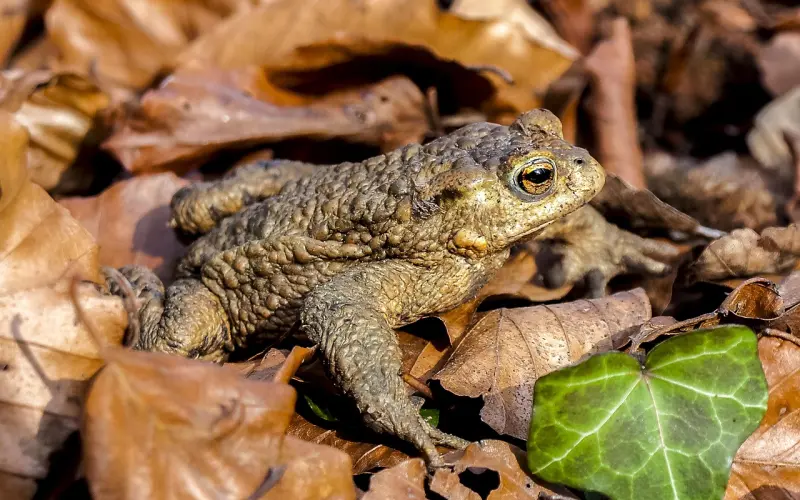 写给前任的一封信，看懂了，你挽回已经成功一半了