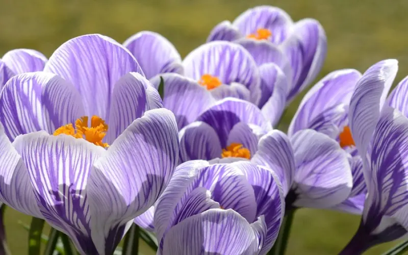 想让男人越来越爱你，女人要从懂得“花钱”开始！