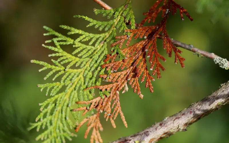 若想让男人爱你如命，就要对他“冷”一点，女人要懂！