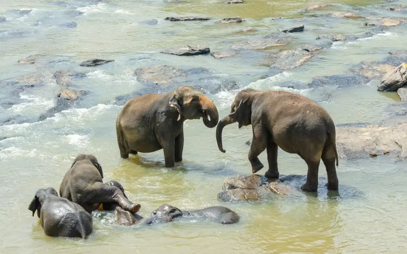想让男人主动和你沟通，你该这样做
