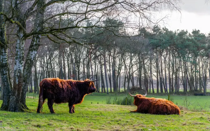 想要让她反撩你，你得先学会冷却她！