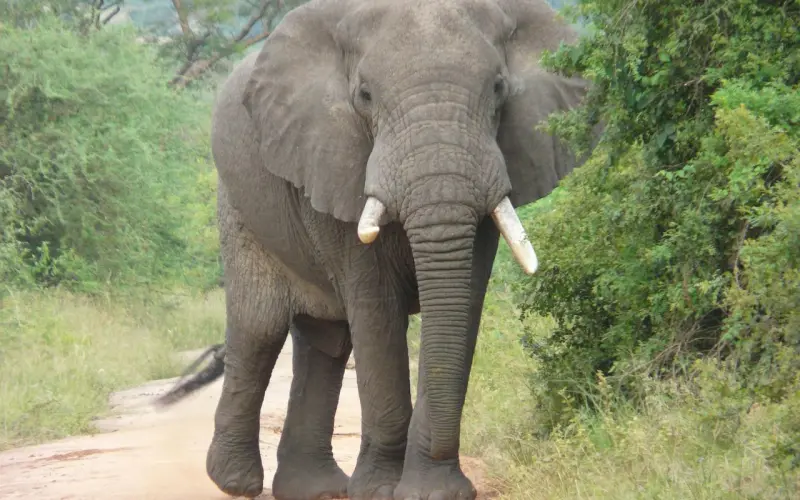女友分手，如果想要挽回，首先必须知道她内心的想法